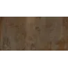 Magnétik rust